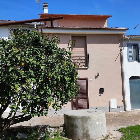Appartamento Il Limone Pisa Exterior foto